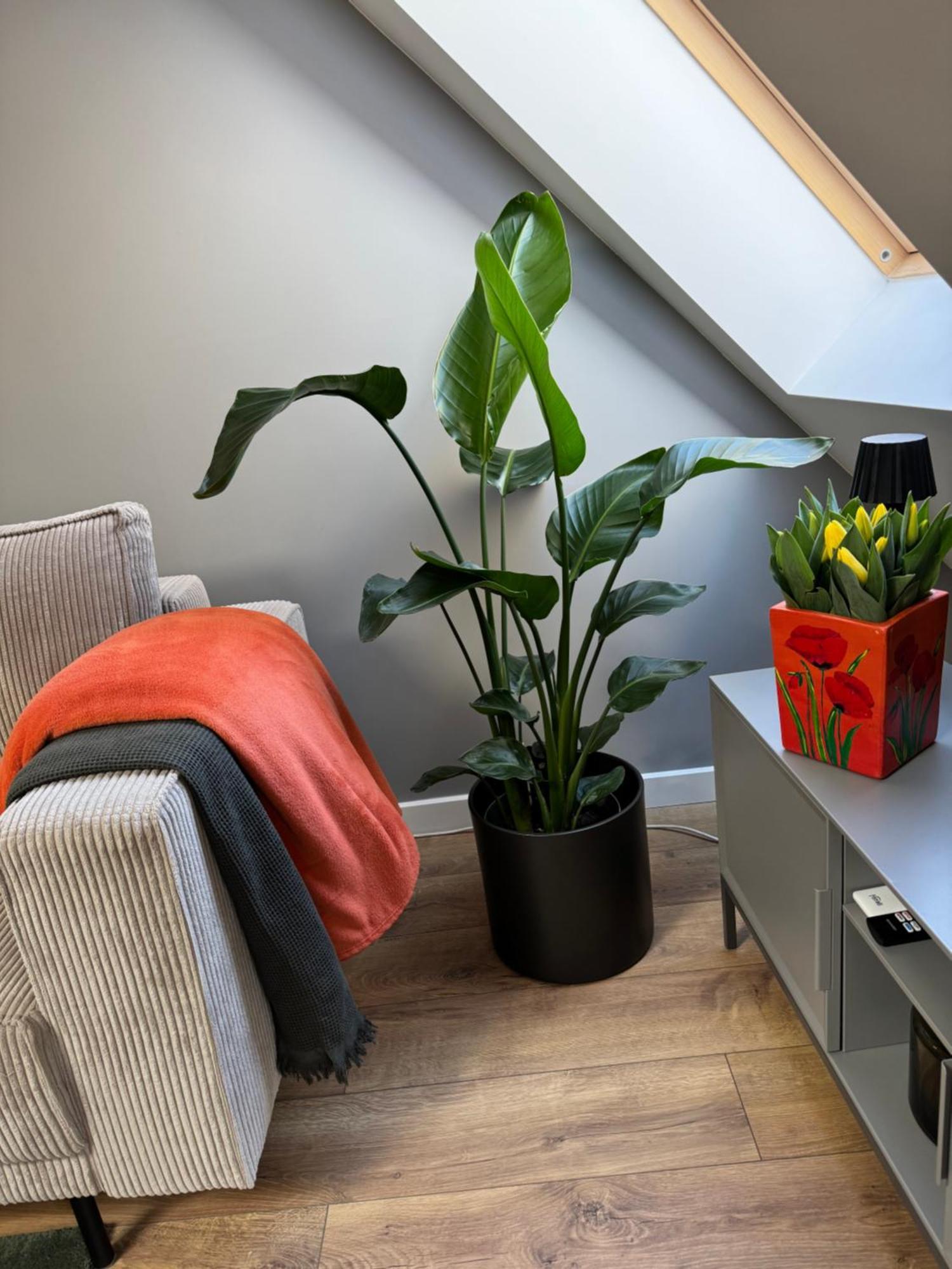 Apartament Fyrtel Poznań